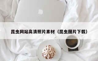海北昆虫网站高清照片素材（昆虫图片下载）